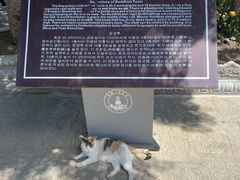 -一盏明灯全素斋(殊像寺店)