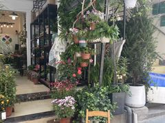 -溪岸路花鸟市场