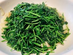 豆苗-二十八里太湖船菜(吉祥路店)