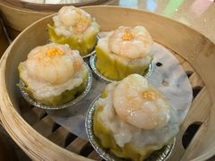 招牌烧卖-点都德(汇胜楼店)