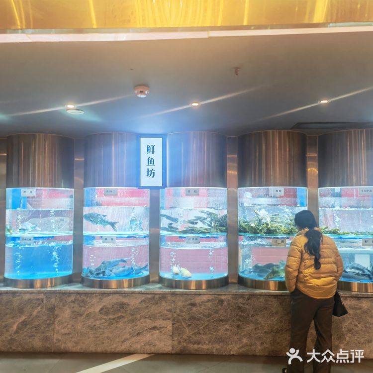比其他家火锅鱼好吃亿点点|老船舫