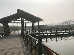 -溱湖国家湿地公园