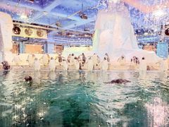 -大连圣亚海洋世界