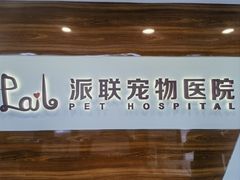 -派联宠物医院·24h·CT·异宠