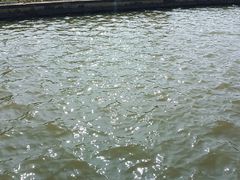 -海珠湖公园
