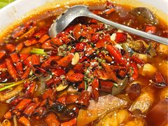 毛血旺-北平盛世·新京菜·北京烤鸭(劲松·双井店)