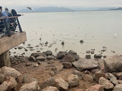 -深圳湾公园(南山区)