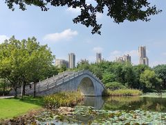 -映月湖公园