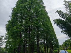 -宜兴龙背山森林公园