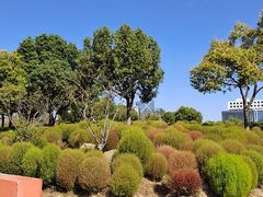 -春花秋色城市公园