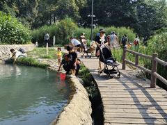 -成都市活水公园