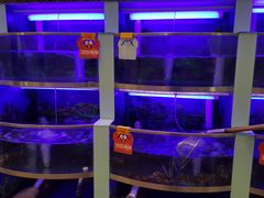 水产区-七欣天(浦东羽山乐坊店)