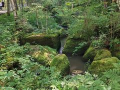 -五营红松林海景区