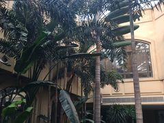 -京津新城温德姆至尊酒店(珠江大道店)