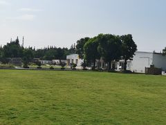 -前小桔亲子创意农场·草莓采摘·露营烧烤