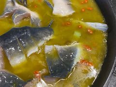 -鲜椒鱼·雅安地标性美食