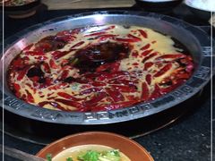 -渝大狮毛肚老火锅(普陀店)