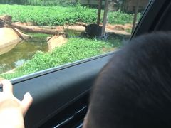 -海南热带野生动植物园