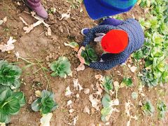 -乡乐园蟹庄·阳澄湖农家乐