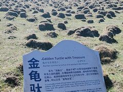 -芦芽山旅游度假区