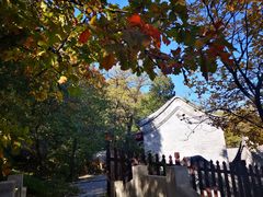 -阳台山自然风景区