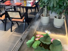 -单家老院·院子里的青岛菜(沙子口店)