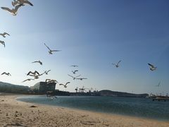 -海驴岛(荣成市)