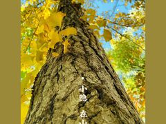 -君庭中餐厅(友谊宾馆店)