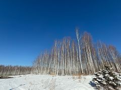 -北极村旅游风景区