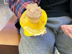 -野人先生Gelato(上海长宁龙之梦店)