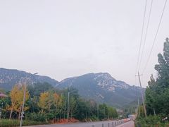 -中原农家乐(中原饭店)
