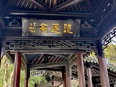 -上海佘山国家森林公园天马山园