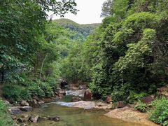 -广州白江湖森林公园