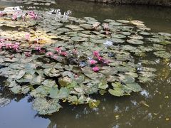 -西樵山风景名胜区-天湖公园