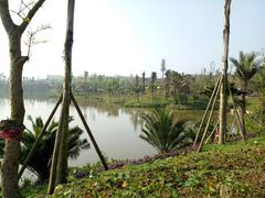 -枫香湖儿童公园