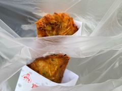 -半月镰胡姐脆皮萝卜饺子