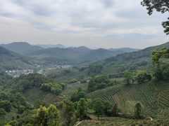 -西湖风景区十里琅珰-五云山