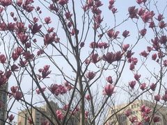 -WEPARK 芳草寓