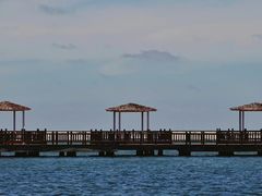 -碧海金沙