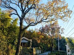 -塔川景区