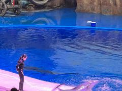 -华夏文旅海洋公园