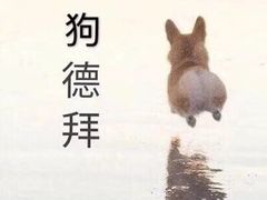 -张杨烤菜(渭南总店)
