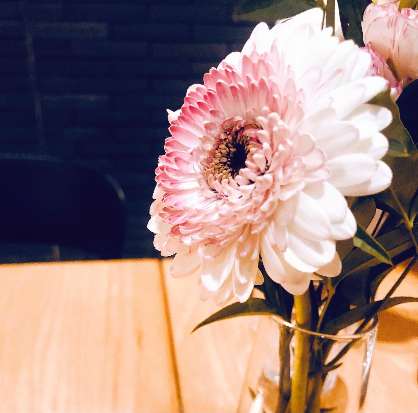 魔都钢铁丛林9515中的一抹小清新—gaga garden[调皮]