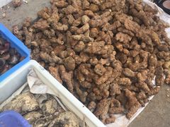 -清远三鸟海鲜农贸市场