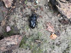 -南通博物苑-崇川人民公园