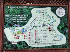 -野象谷景区