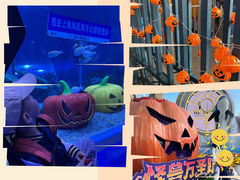 -上海海昌海洋公园