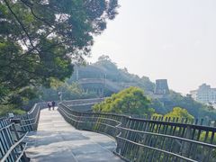 -福道