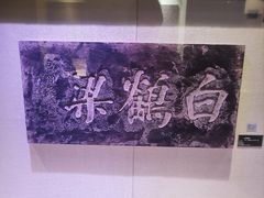 -白鹤梁水下博物馆