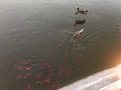 -迎泽公园